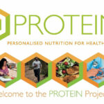 PROTEIN project Header