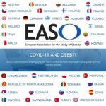 EASO Members Flags