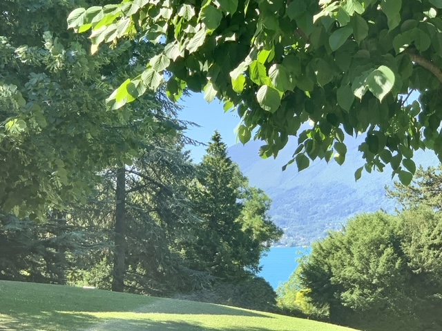 View of a lake through trees with hills in the distance